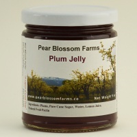 dsc_0557_plum_jelly_final_19